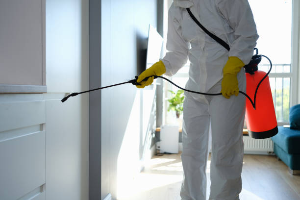 Reliable Neuse Forest, NC Mold Remediation Solutions